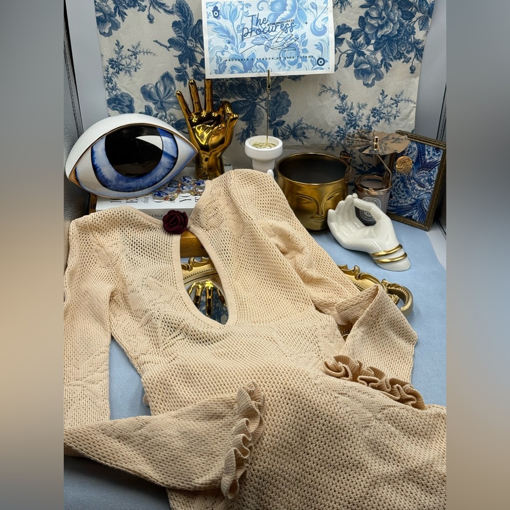 🆕 MIRROR PALAIS 🧿 NWOT Rose Pointelle Crochet Knit Dress, Soft Beige - Sz XS - Picture 13 of 16